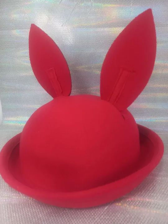 Chapéu Coelho  - Foto 4