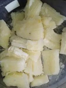 mudas da mandioca cacau branca  - Foto 3