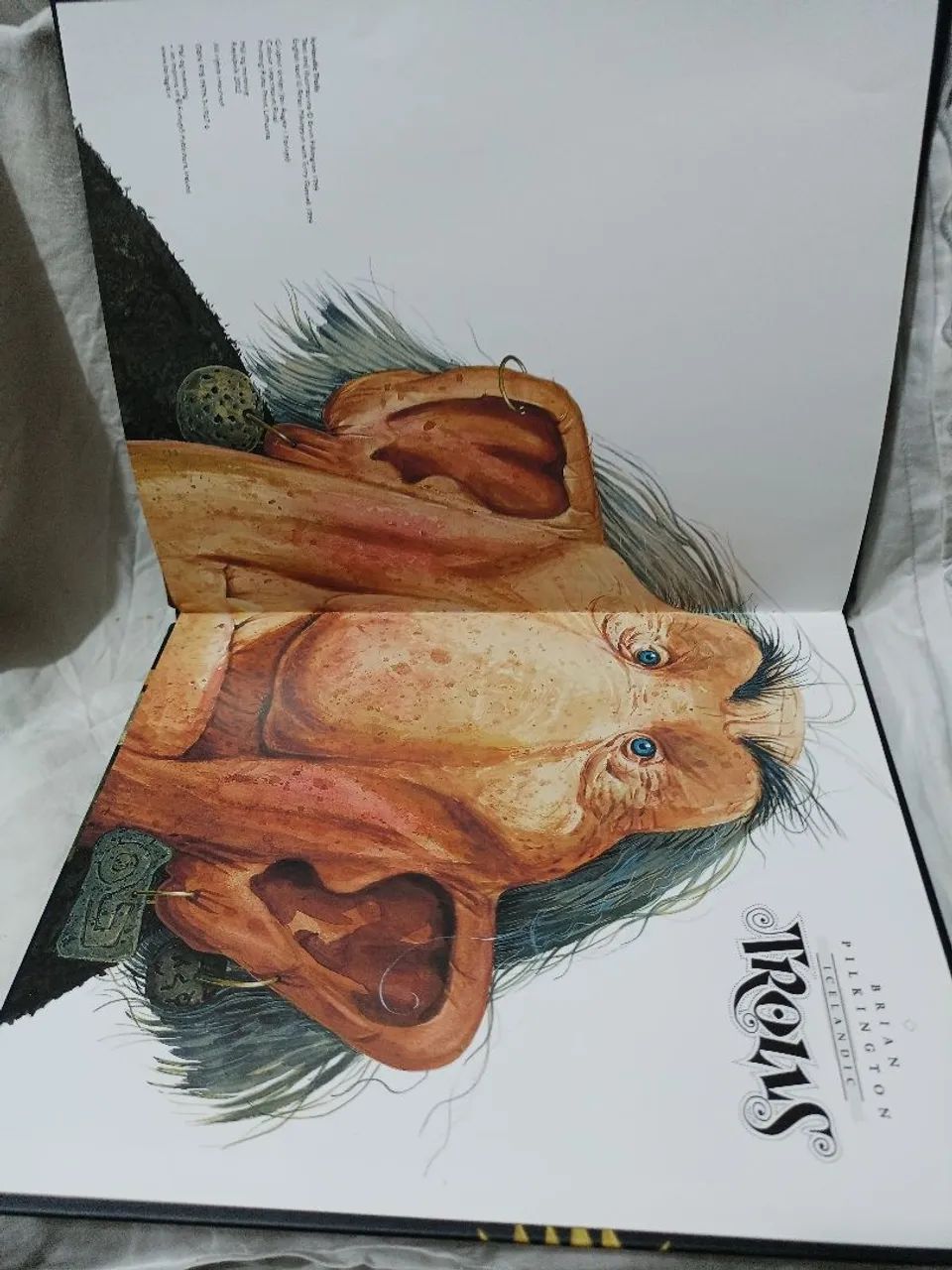 Livro Trolls - Brian Pilkington- inglês  - Foto 4