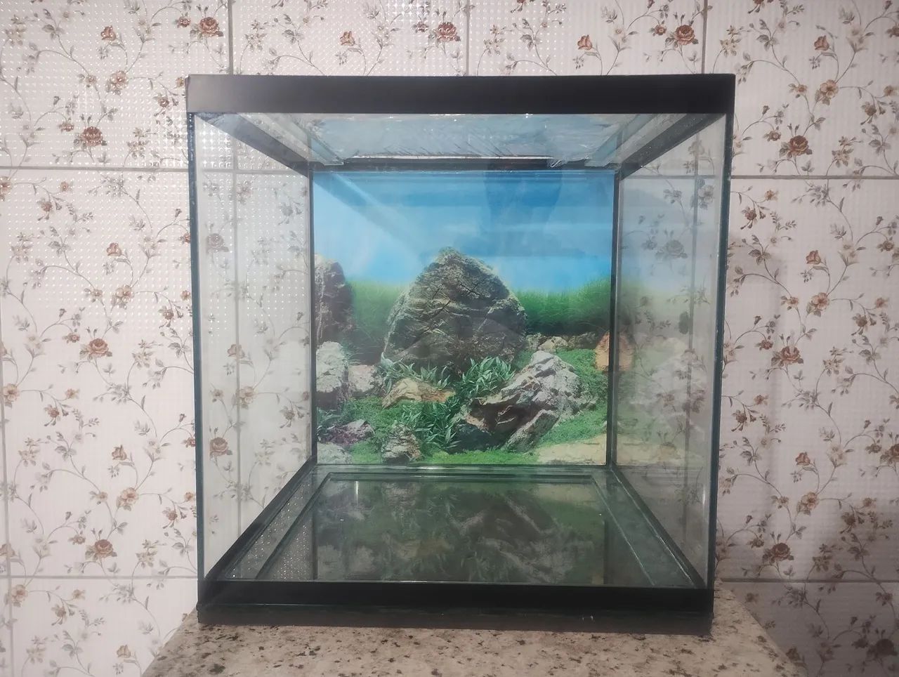 SUPORTE PARA AQUÁRIO MAIS AQUÁRIO , CUBO 40XX40X40 - Foto 5