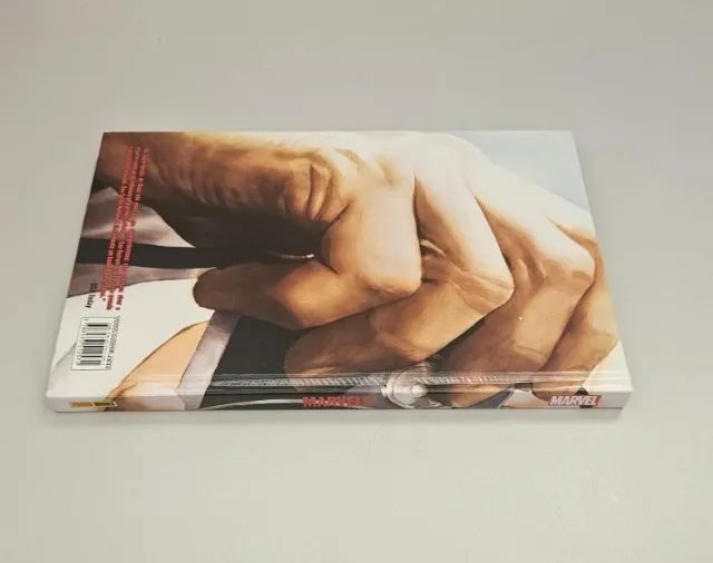 Marvels - Kurt Busiek e Alex Ross - Foto 4