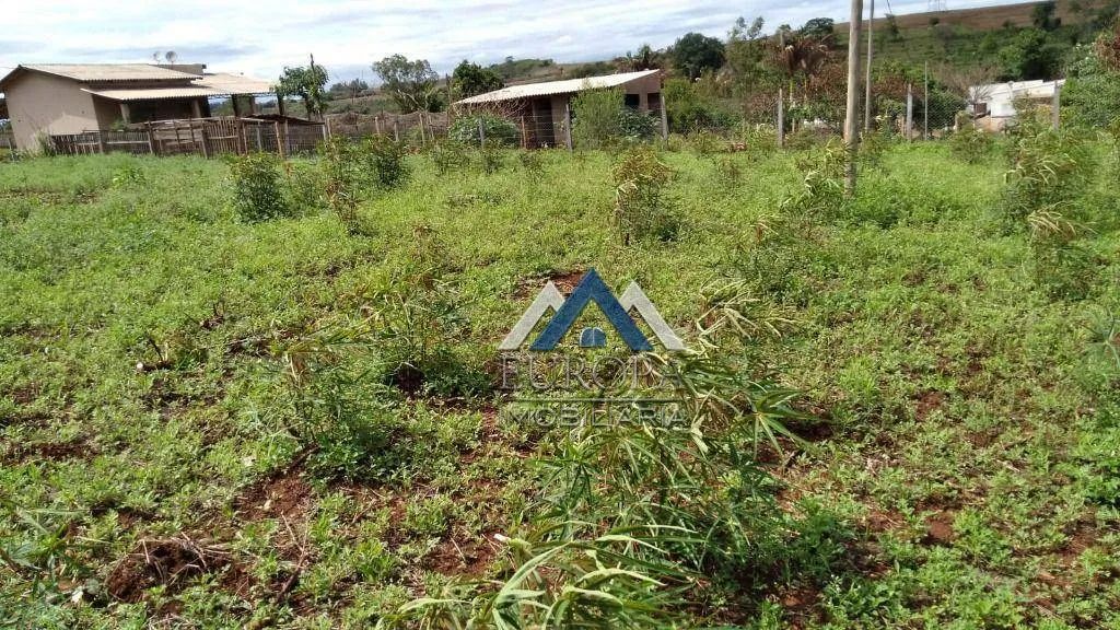 Terreno à venda, 7500 m² por R$ 612.000,00 - Agua das flores - Jataizinho/PR - Foto 5