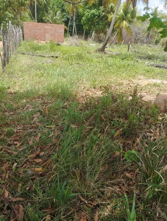 Vendo ou troco Terreno Marechal Deodoro nas malhadas 40 mil 9/30 - Foto 3