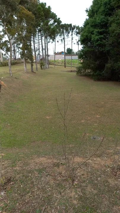 Sítio Ibiúna aluguel temporada  - Foto 15