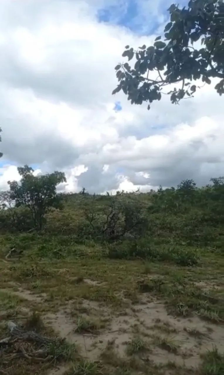 Vendo 10 alqueires  na região do morro agudo de Goiás, 180km de Goiânia!! 