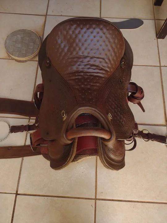 Sela e manta - Foto 2