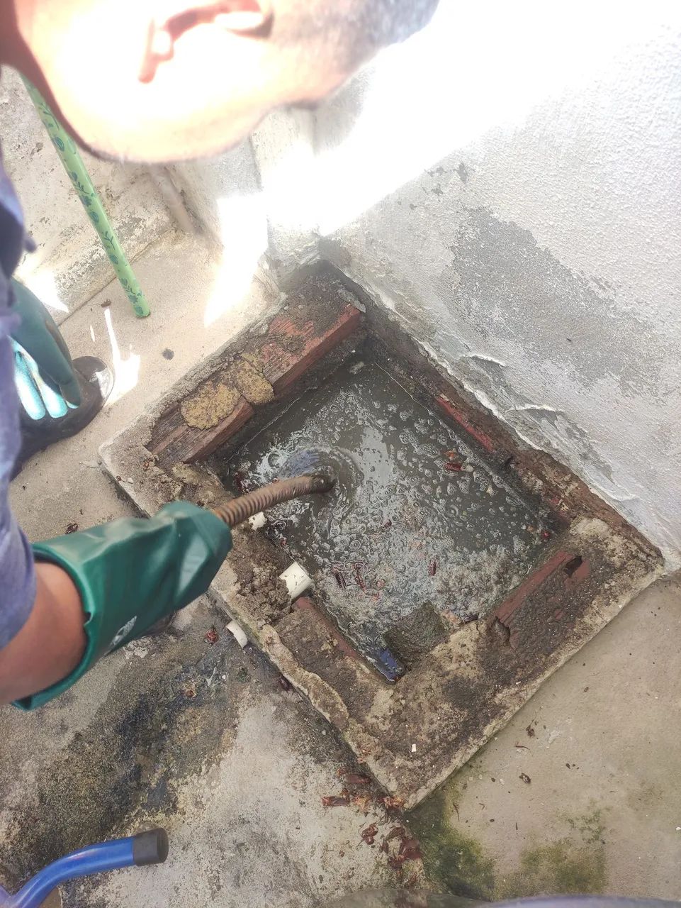 Desentupidora Paulista Pe