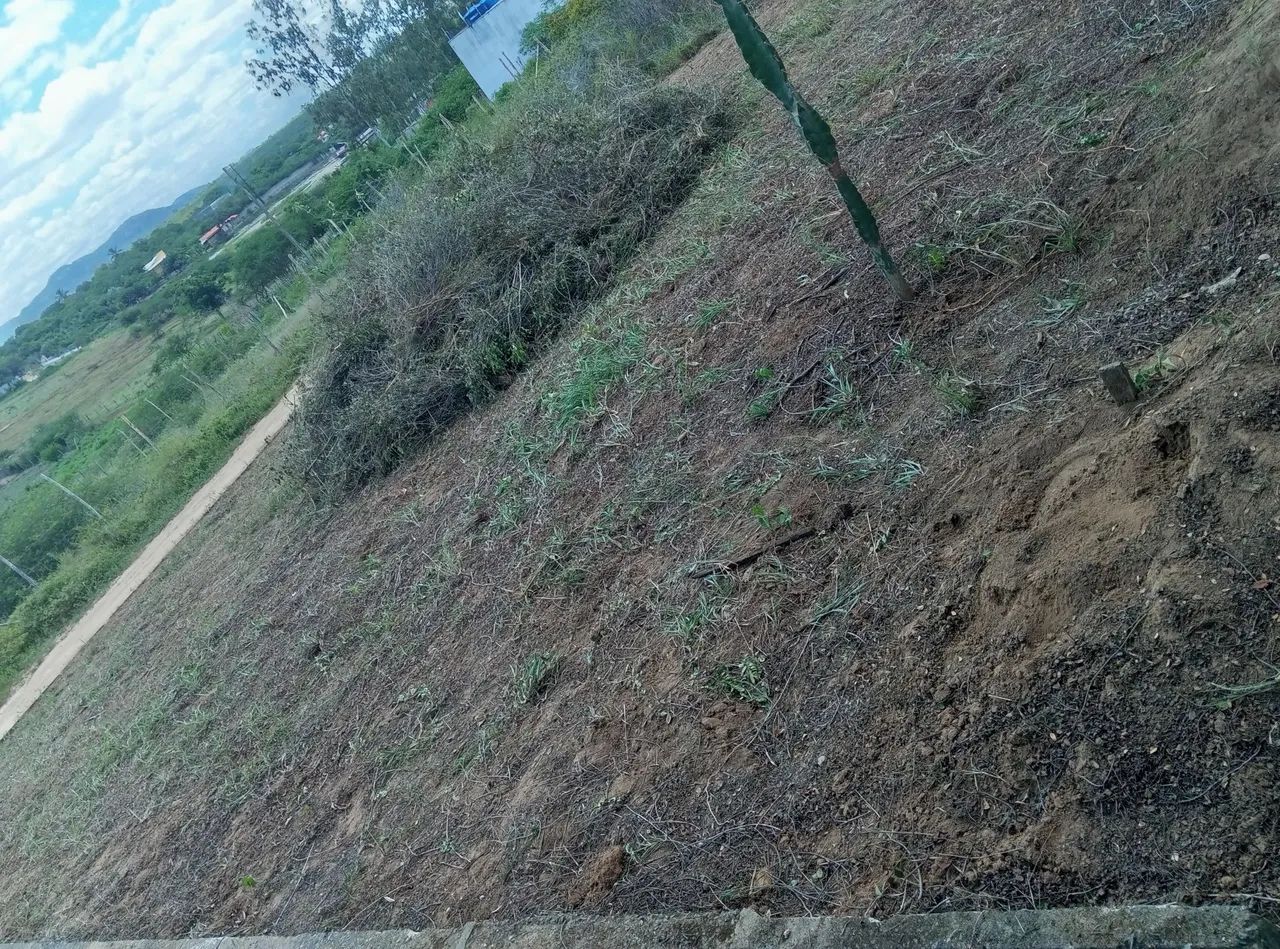 Foto - Feira de Santana - Jardim Cruzeiro