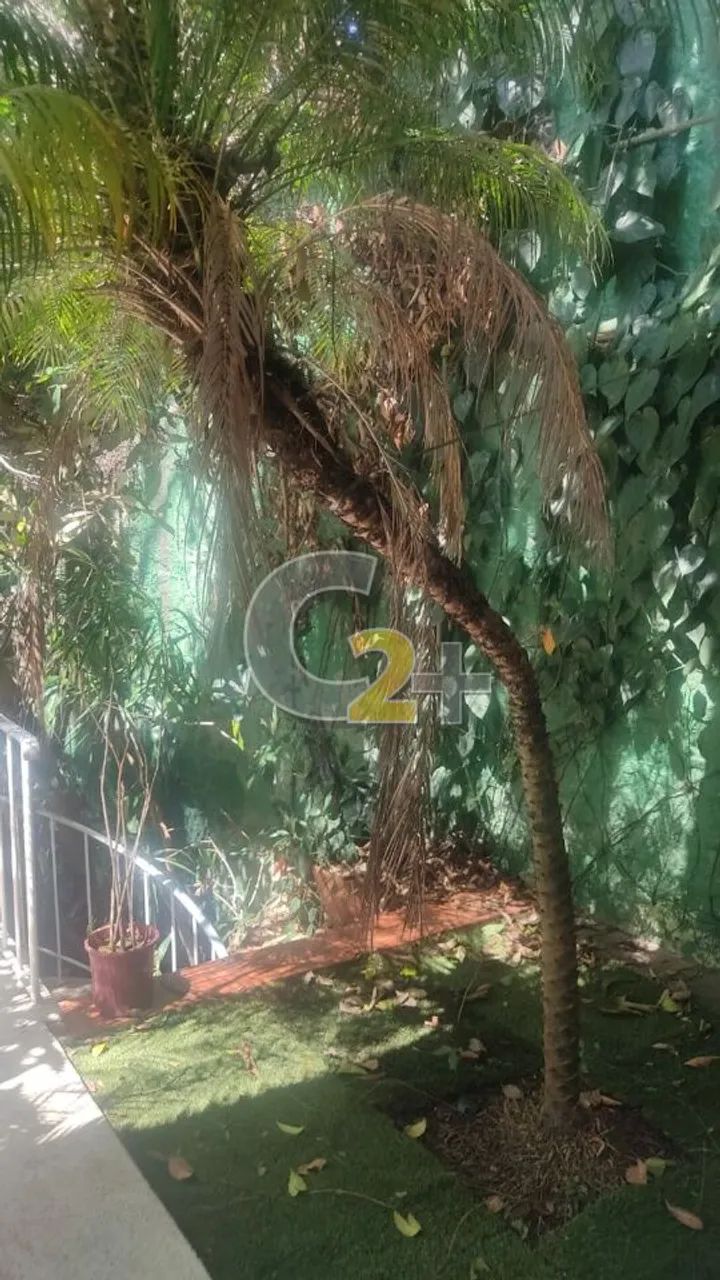 Casa de vila à venda nas Perdizes com 4 quartos, 1 suíte e 4 vagas - Foto 5