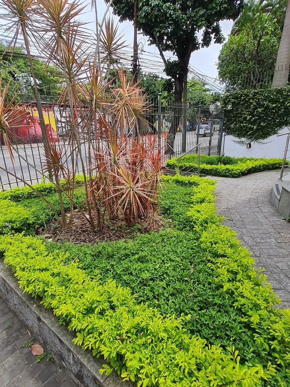 Casa no Jardim Botânico - Foto 2