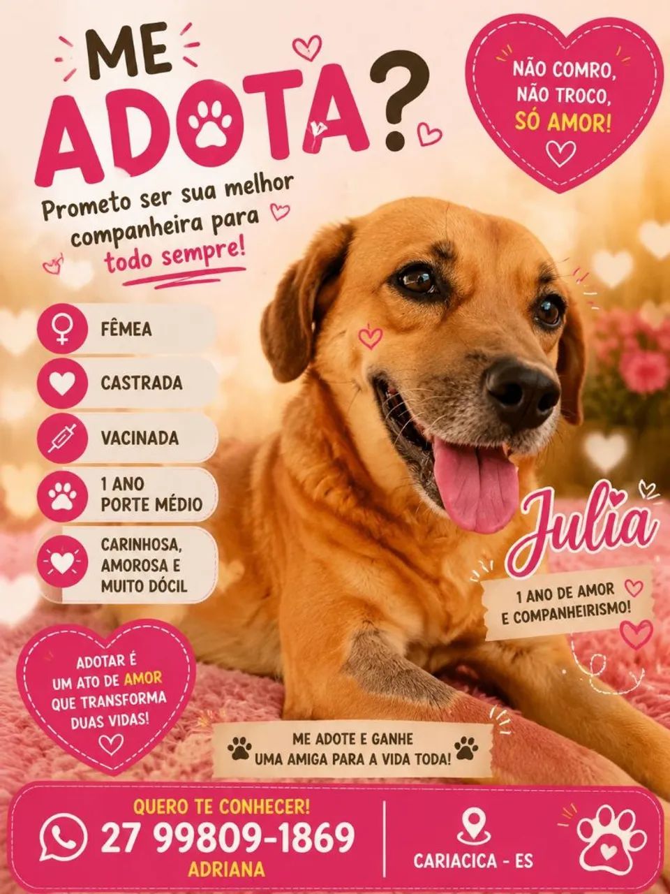 Doação  - Foto 5