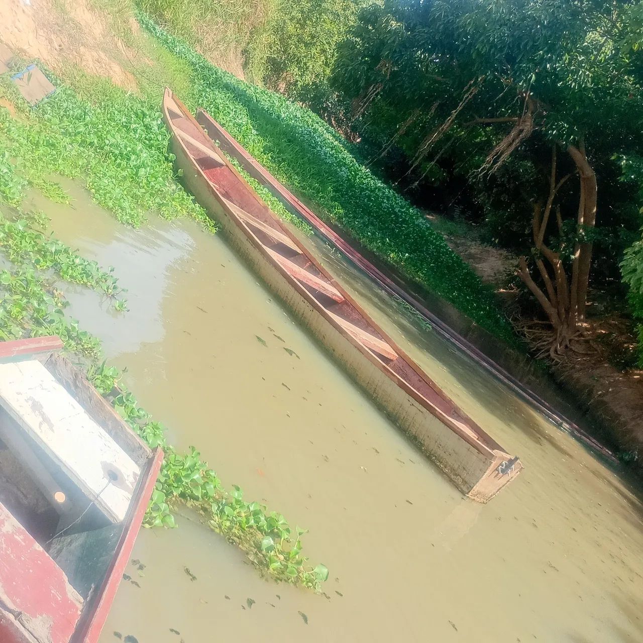 Canoa 7 metro  - Foto 2