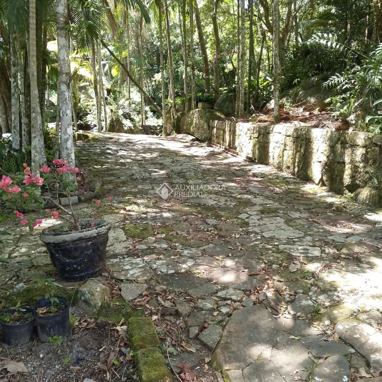 Sítio a Venda em Florianópolis Vargem do Bom Jesus - Foto 3