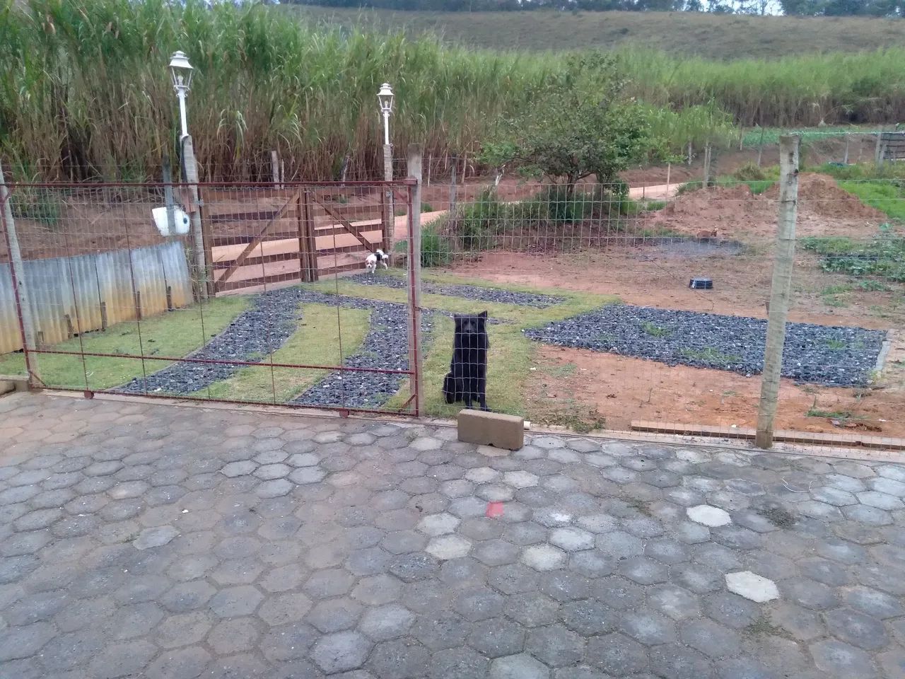Chácara a venda em Olaria, MG  - Foto 4