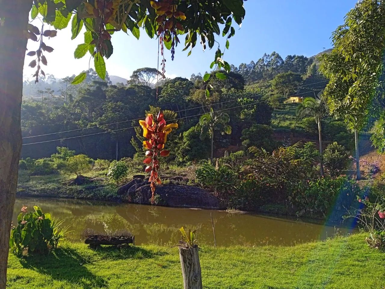 SÍTIO EM IBITIRAMA (ES) - Foto 4