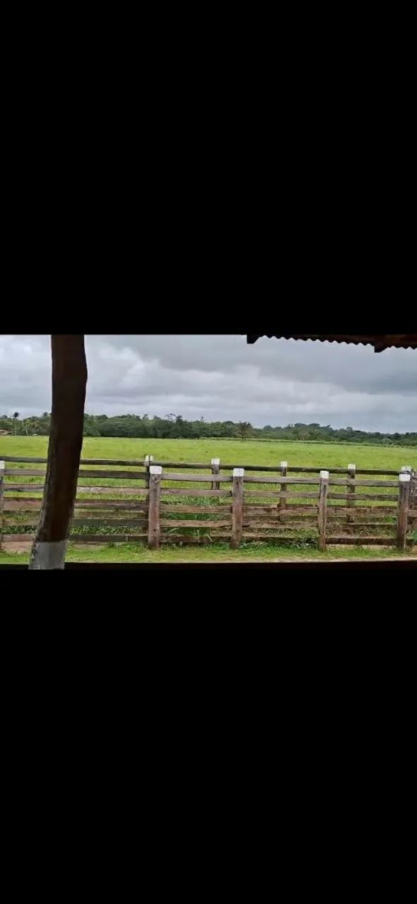 Fazenda a venda regiâo do pará  - Foto 3