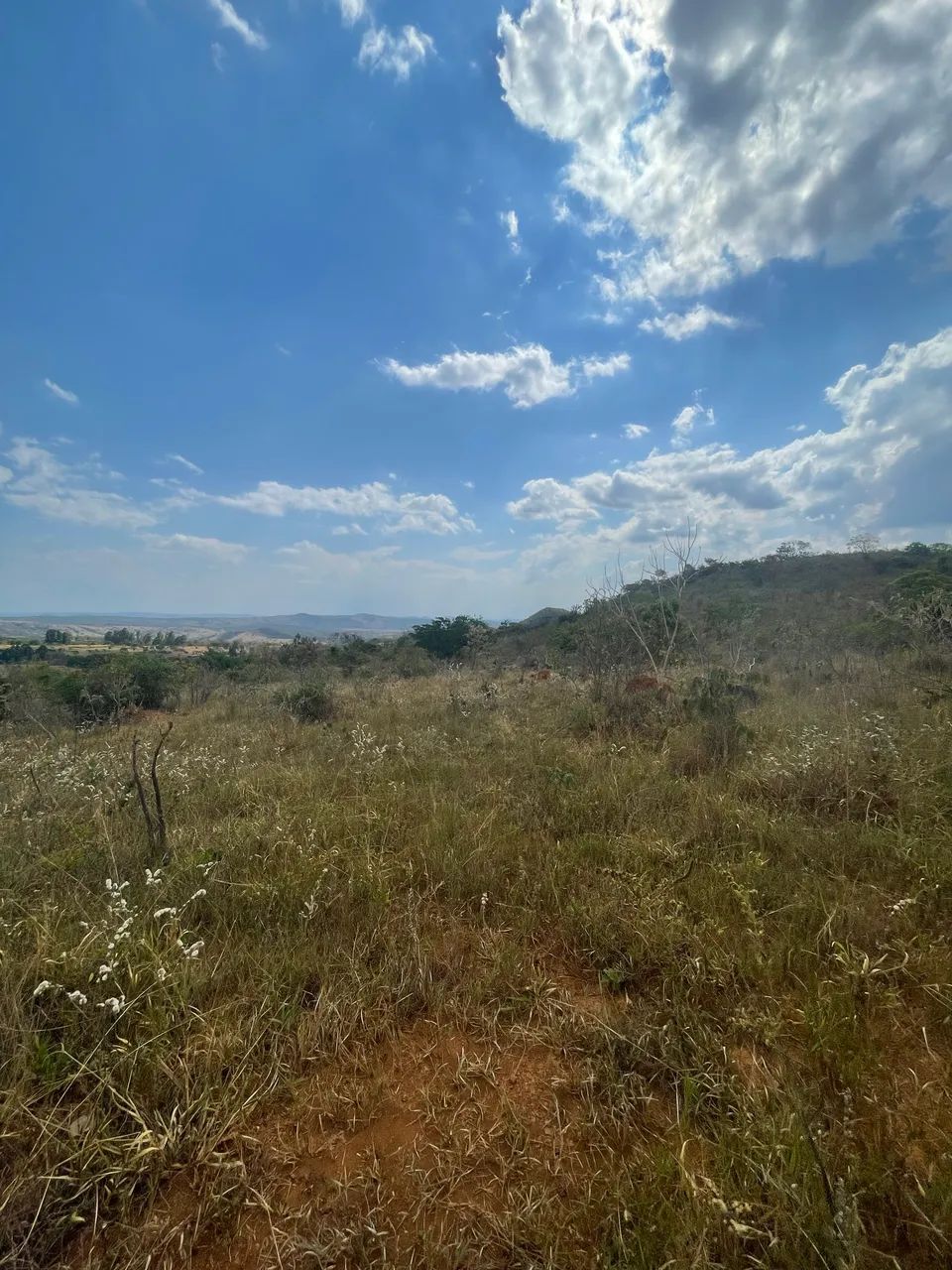 VENDE-SE ? ÁREA DE 20.000 m² próximo à Pirenópolis  - Foto 2