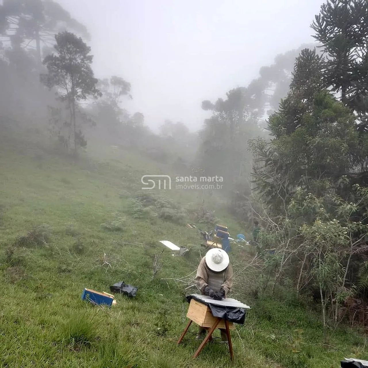 SÍTIO NA SERRA DA BOCAINA | CASA SIMPLES | S.J. BARREIRO SP - Foto 4