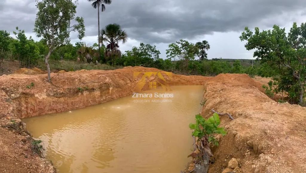 Fazenda com 3 Quartos à Venda - Aparecida do Rio Negro - Foto 3