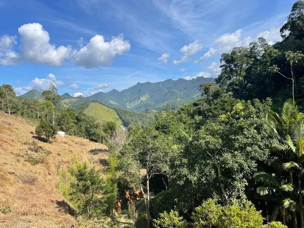 Terreno São Pedro Da Serra - Foto 5