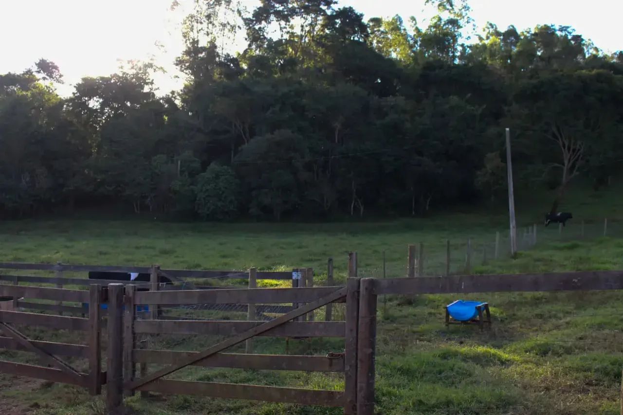 FAZENDA À VENDA codigo: 348457 - Foto 5