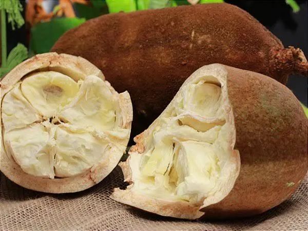 Poupa de cupuaçu  - Foto 2