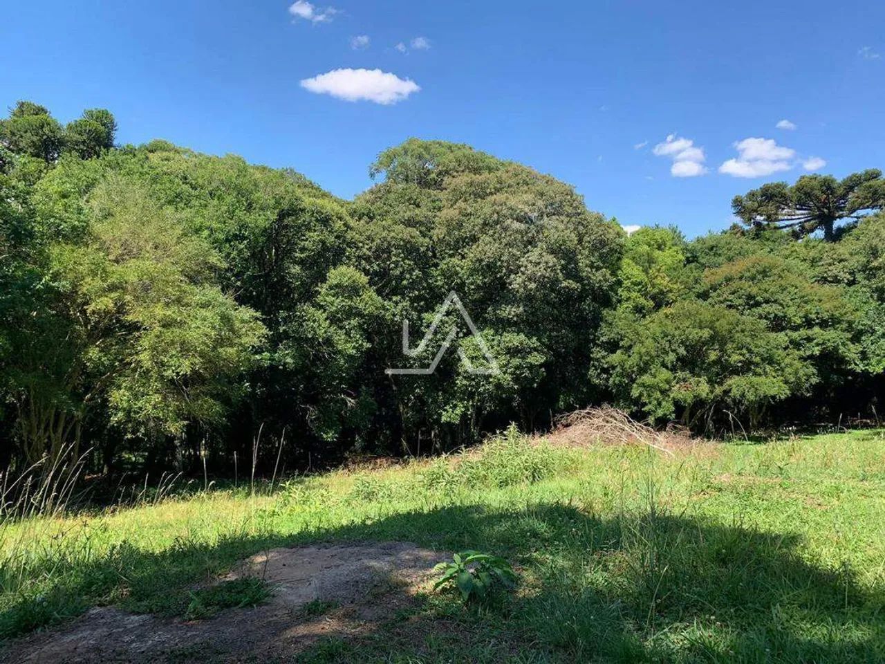 CHACARA em Passo Fundo - Foto 3
