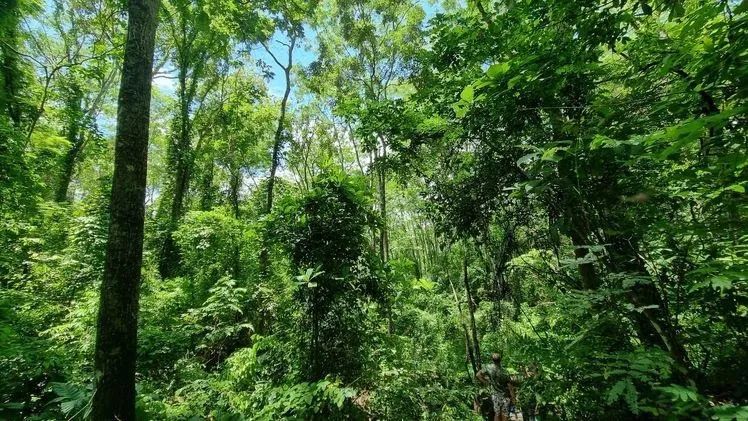 Rancho Represa Capim Branco 70 mil m2 - Foto 9