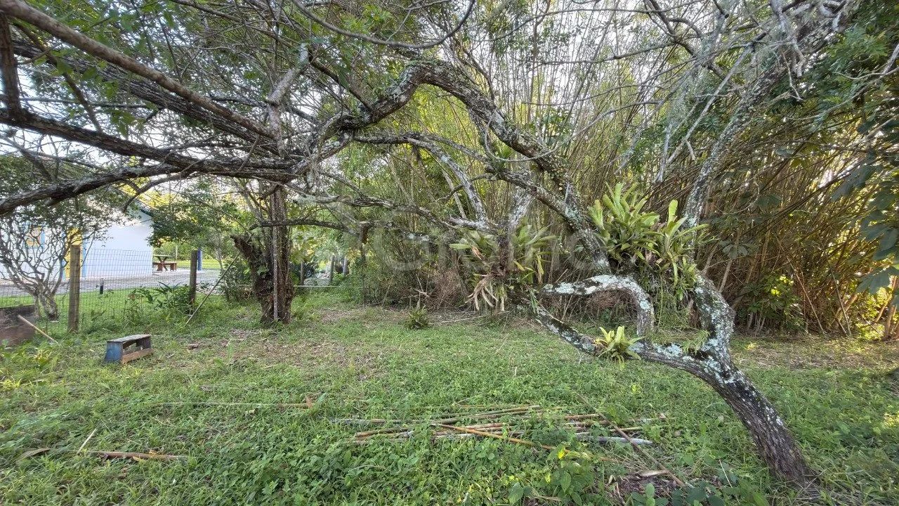Terreno de 775m² em Ponta das Canas - Foto 5
