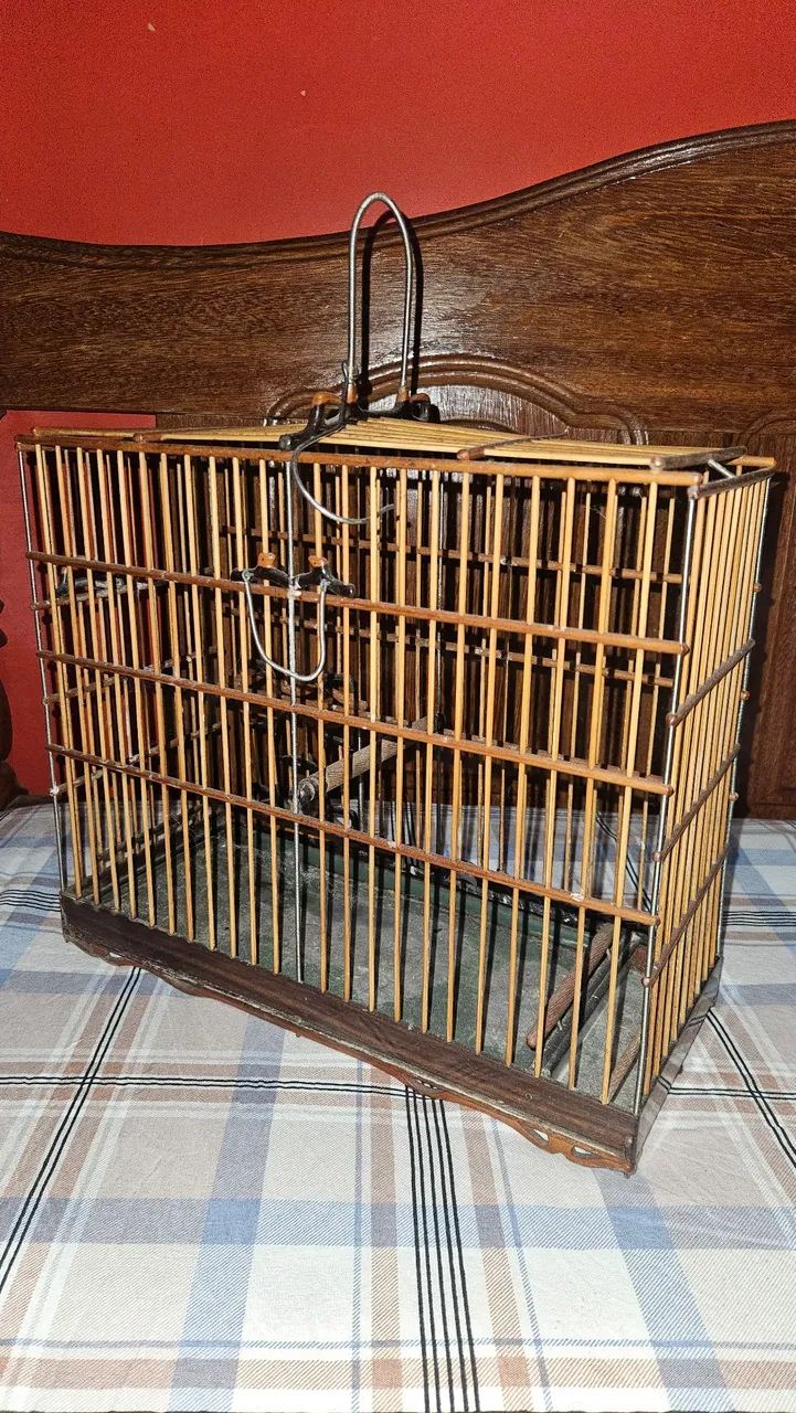 Gaiola para curio