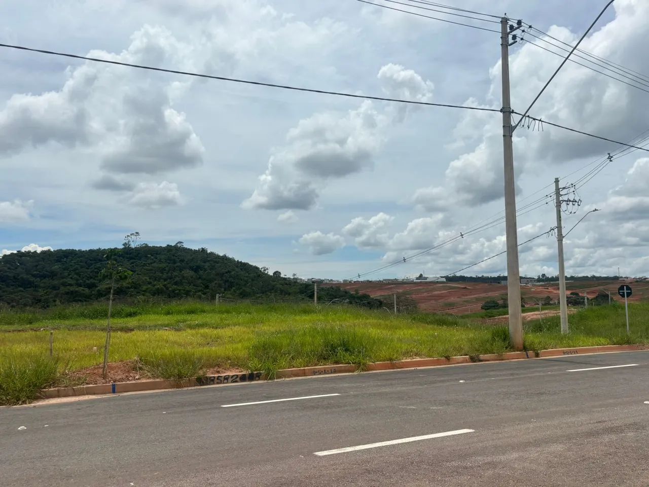 Foto - São José dos Campos - Bosque dos Eucaliptos
