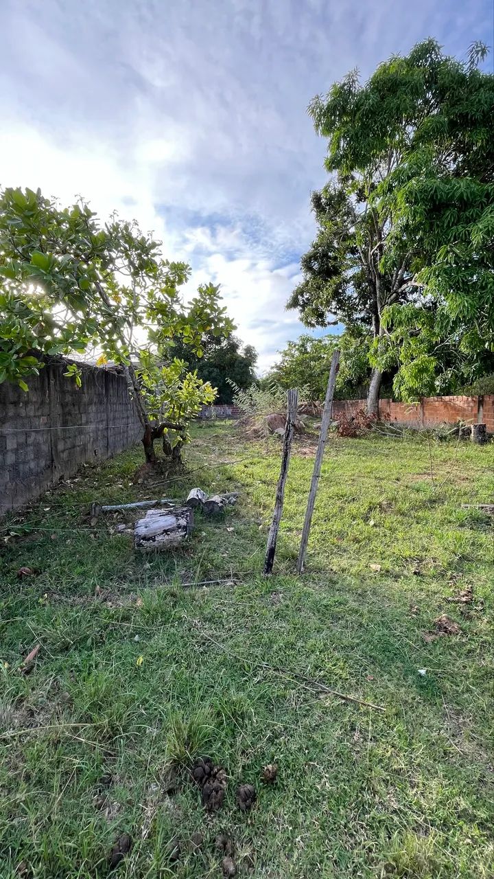 Terreno no pai André  - Foto 3
