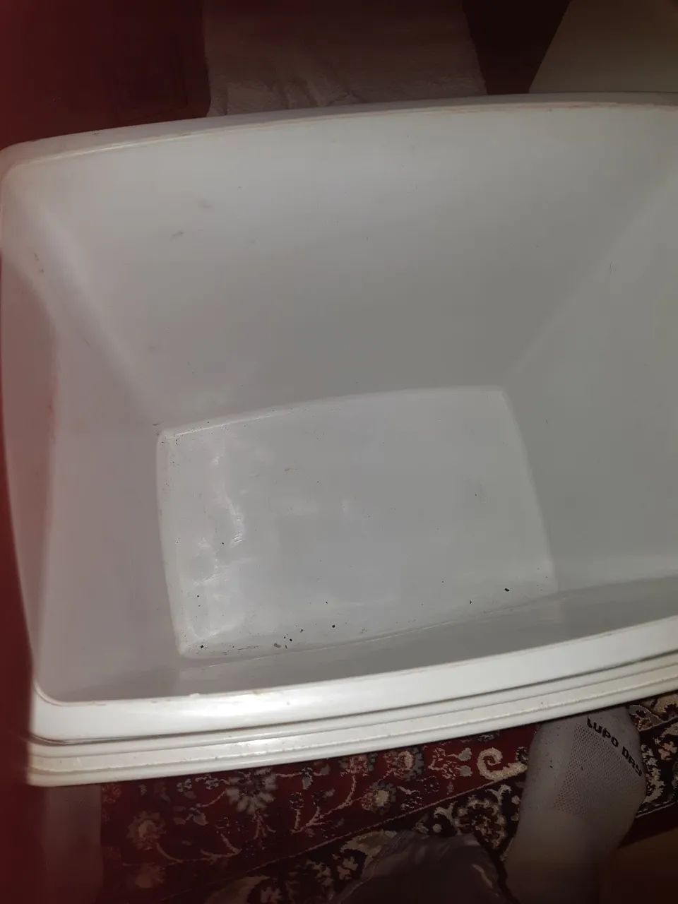 Caixa térmica Dolfin de 32 litros - Foto 3