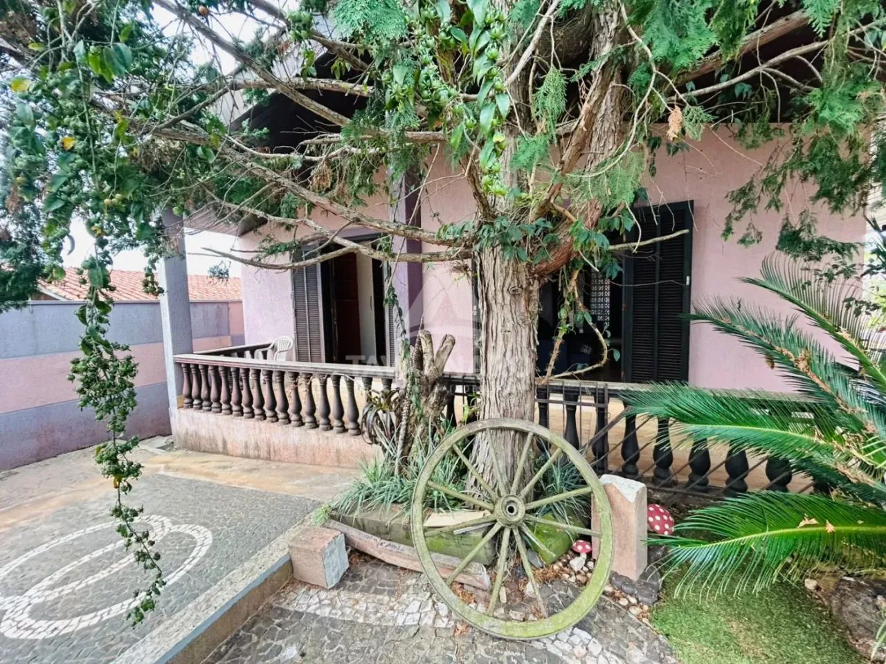 Casa em Uvaranas - Foto 4