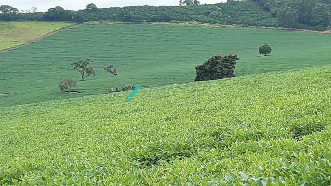 fazenda - Centro - Pouso Alegre - Foto 4