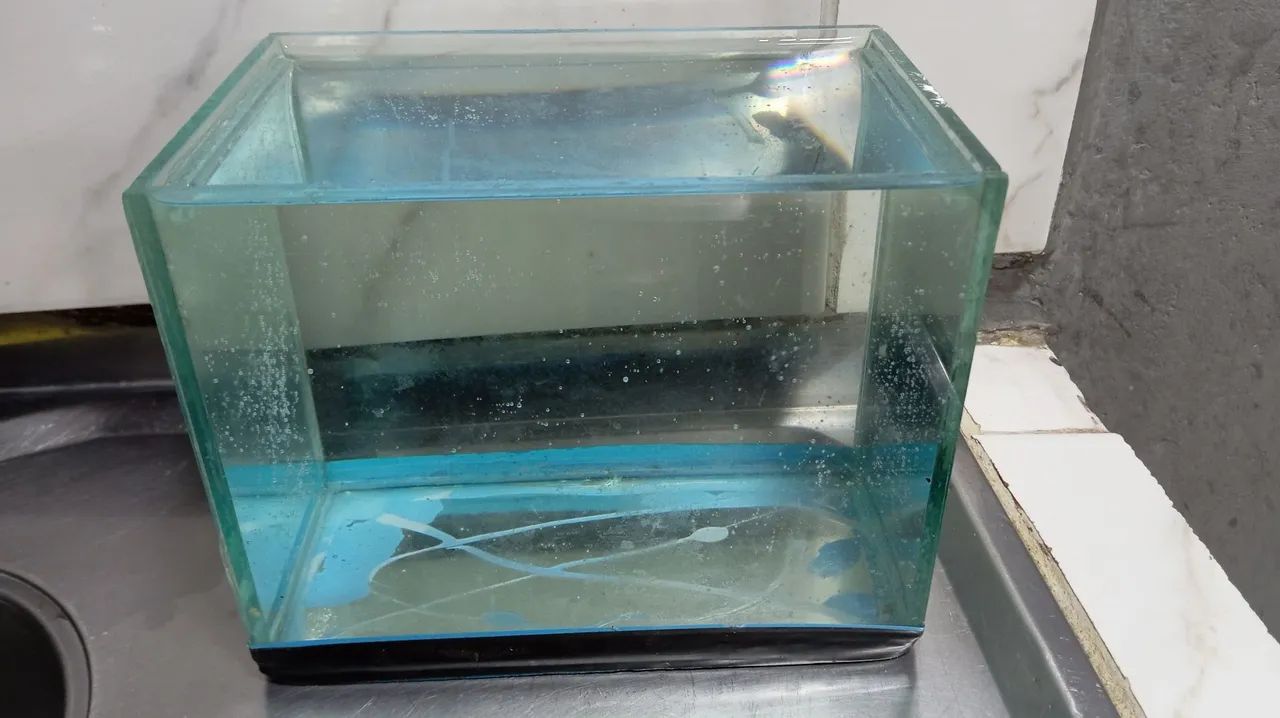 Small Aquarium437443792281937922