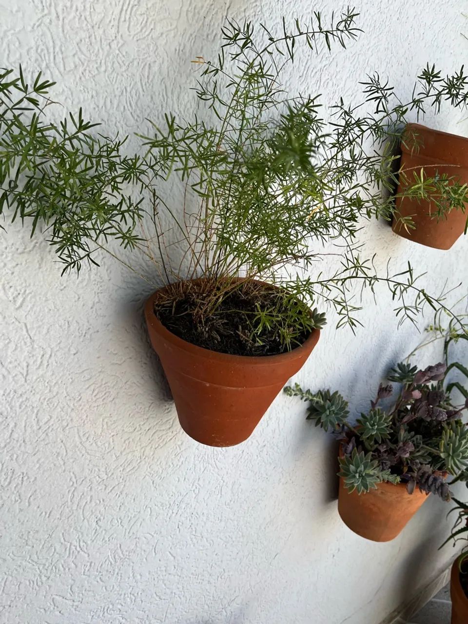 Jardim vertical  - Foto 2