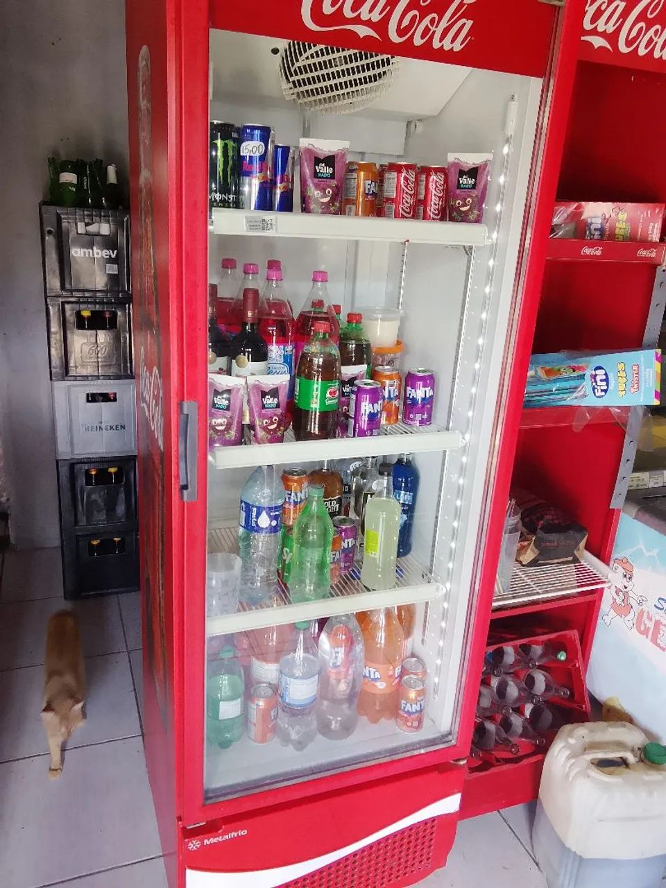 Expositor  - Foto 2