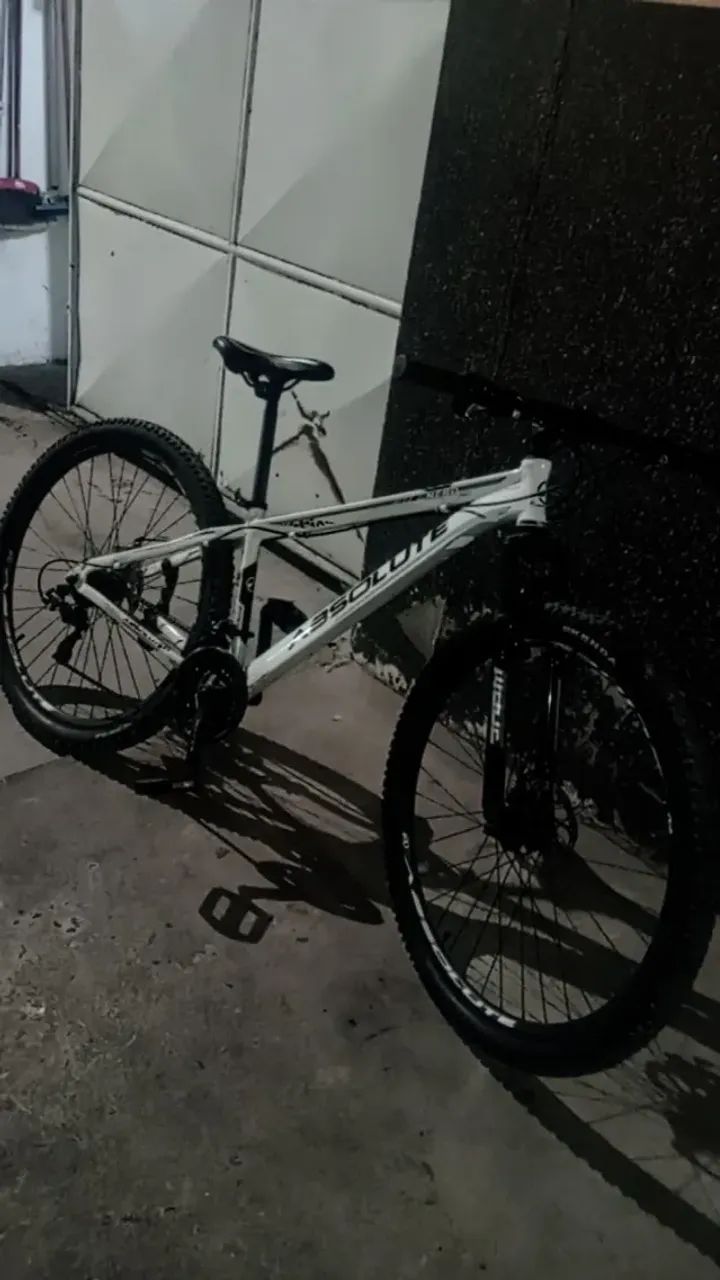 Bicicleta arô 29