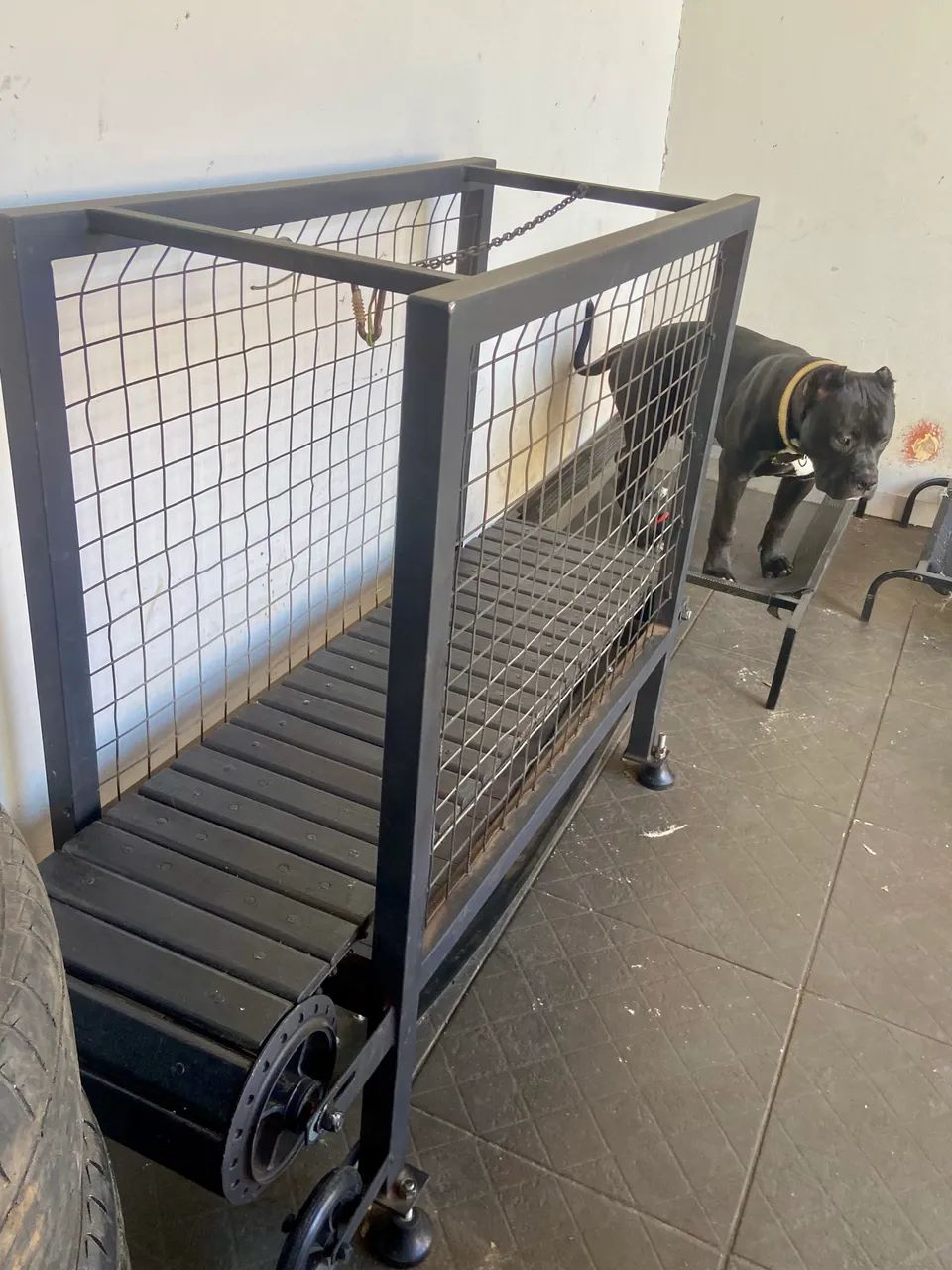 Esteira para cães  - Foto 3
