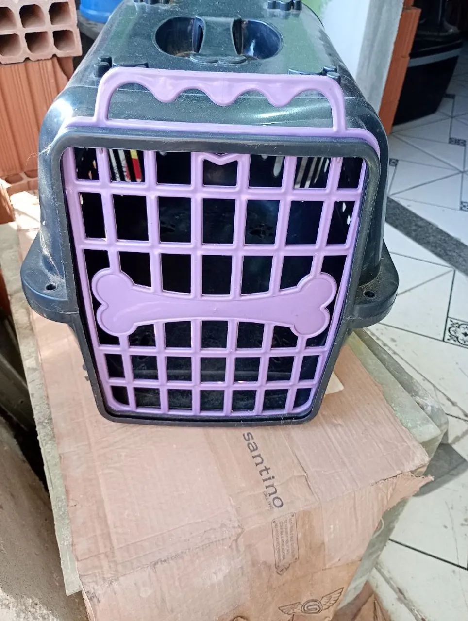 Trasporte de pet