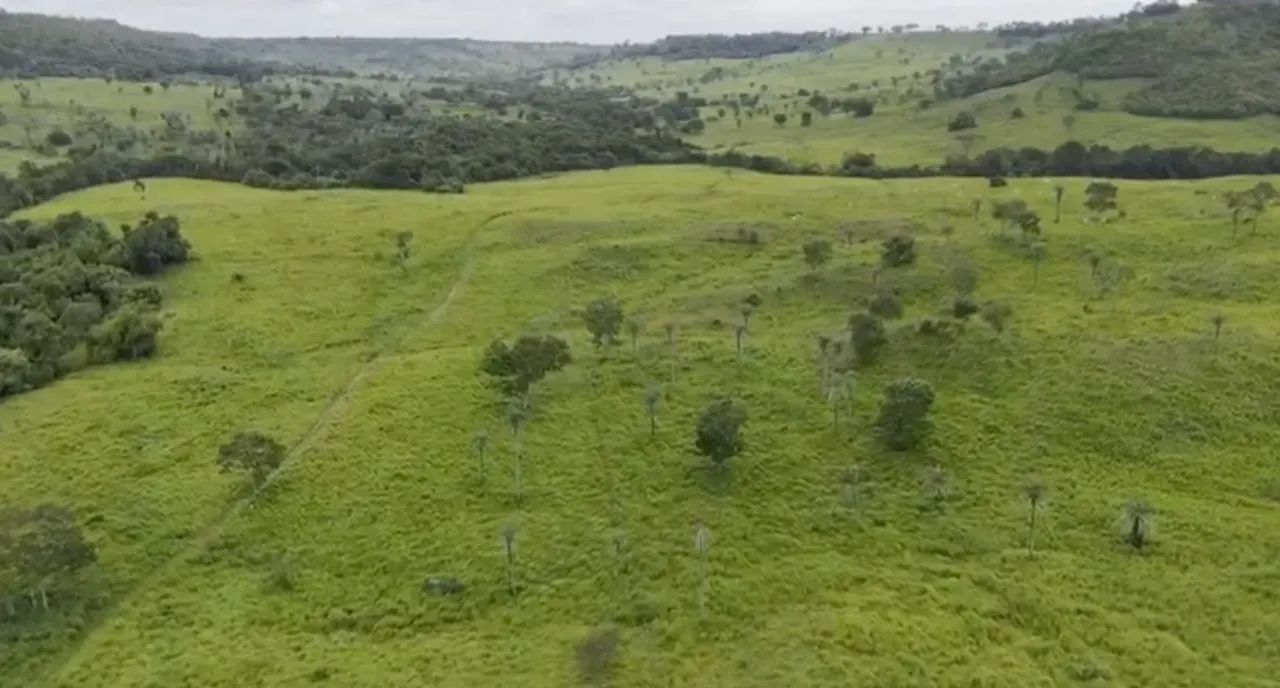 Fazenda à venda  ! 10 km da br 153 ! ? - Foto 4
