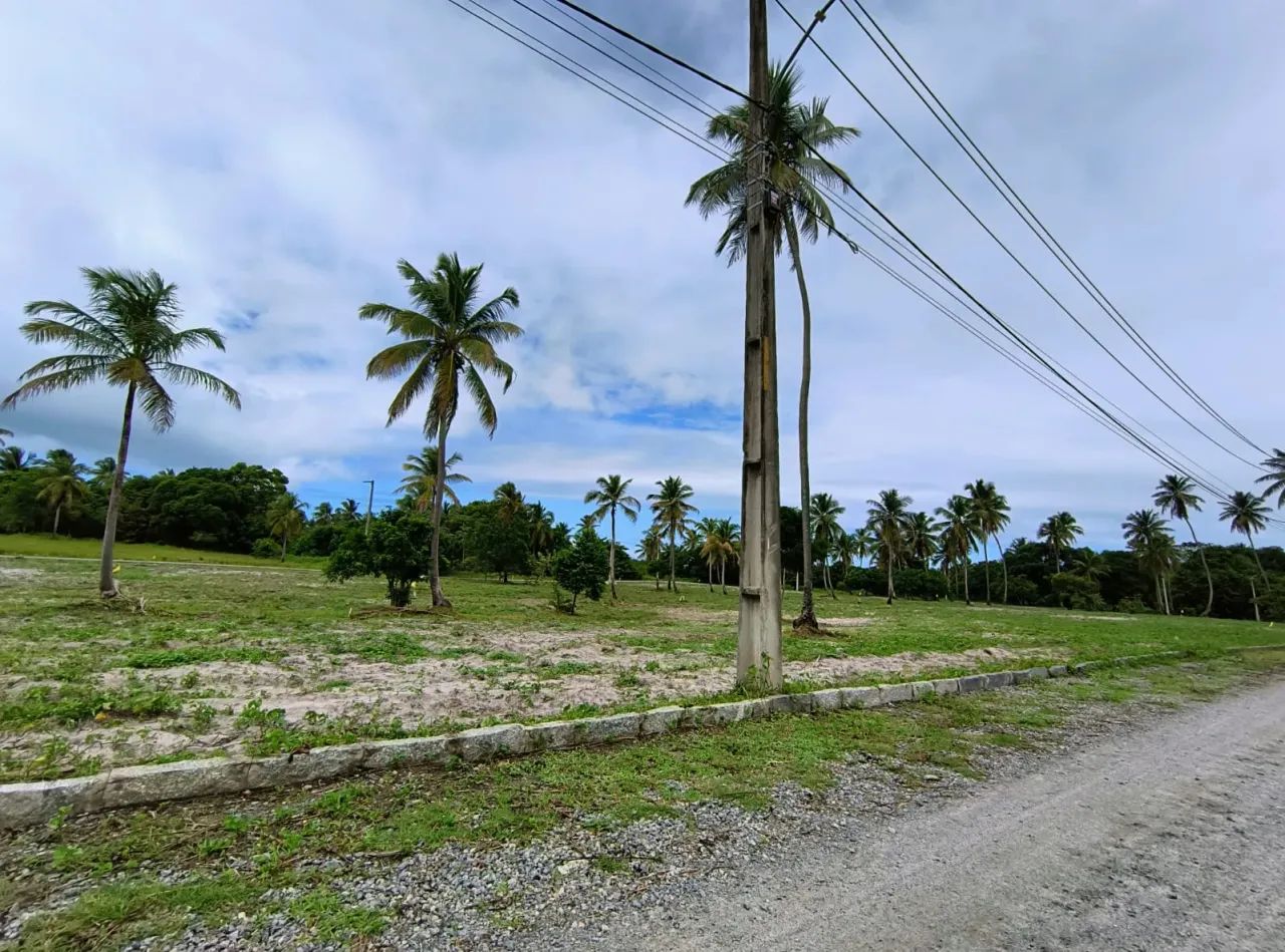 Lotes em Porto de Galinhas!! - Foto 2