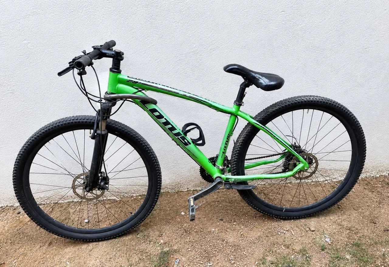 Bicicleta lottus 
