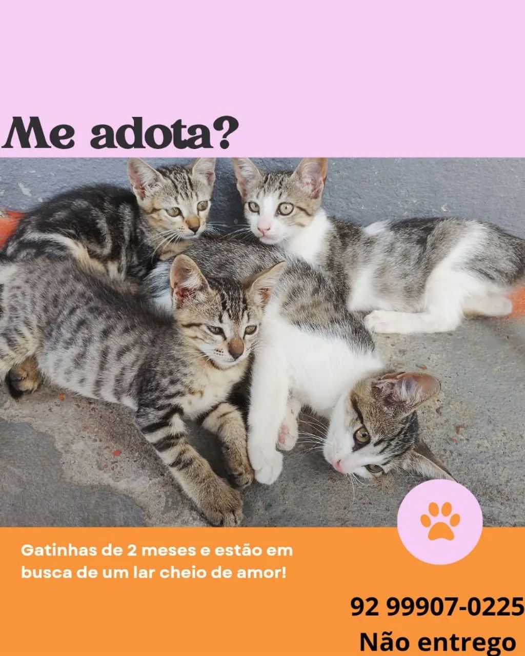 Doação 