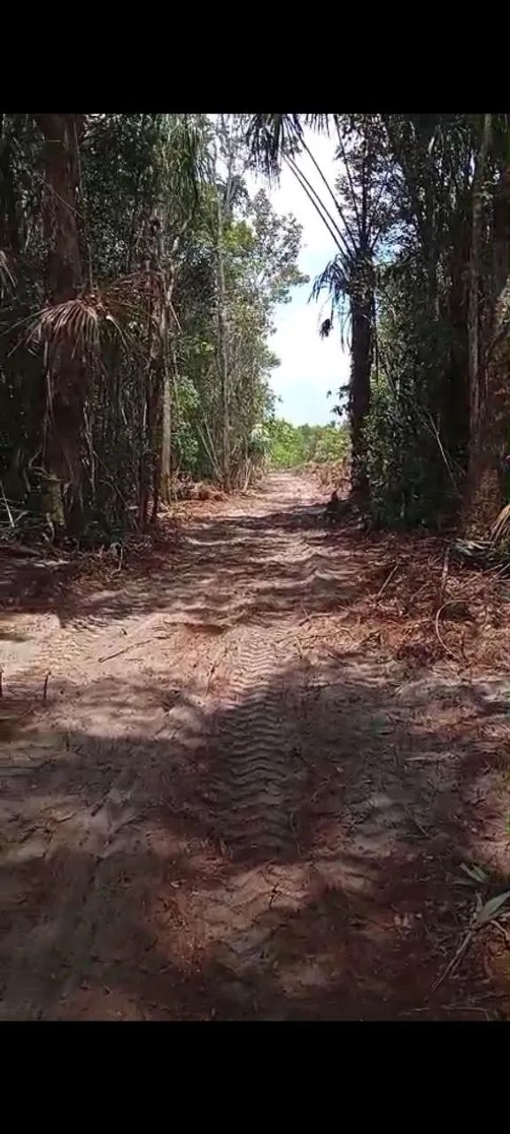 Vendas de Lotes com igarapé, para chácaras e sítio, Terreno na Av Princ em vila de Lindóia - Foto 4