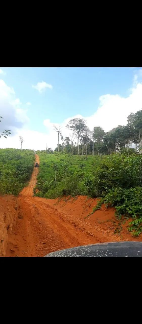 Sítio e fazendas em Roraima  - Foto 5