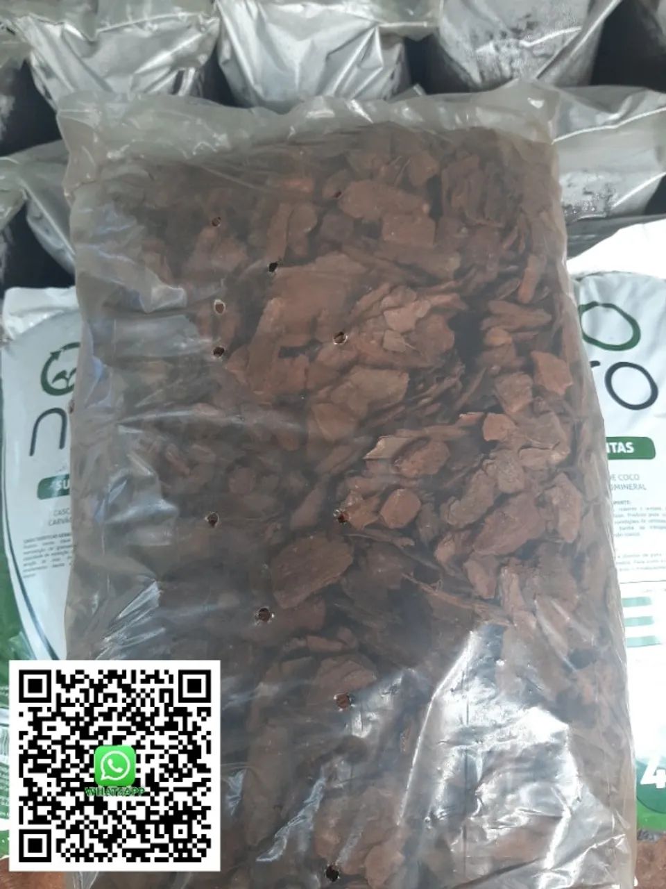 CASCA DE PINOS - Foto 2