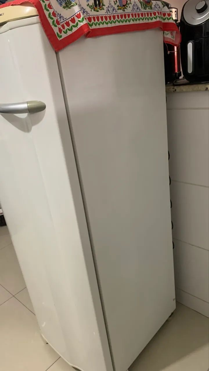 Freezer Vertical Electrolux FE22  - Foto 2