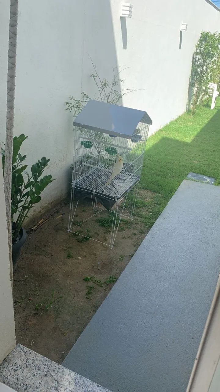Gaiola grande - Foto 2
